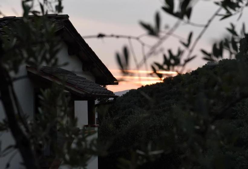 酒店 Agriturismo La Casuccia