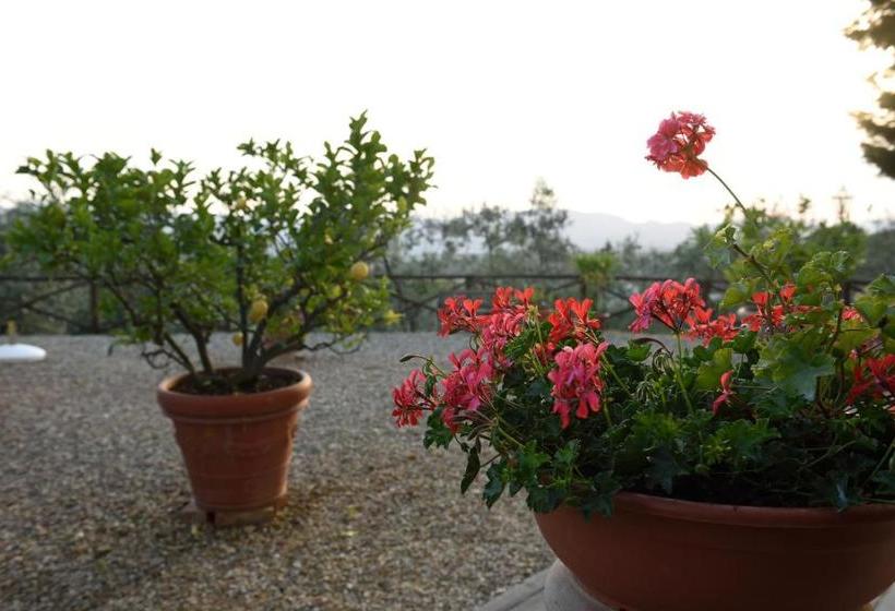 酒店 Agriturismo La Casuccia