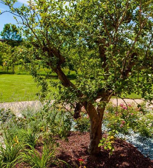 ホテル Agriturismo La Chiocciola