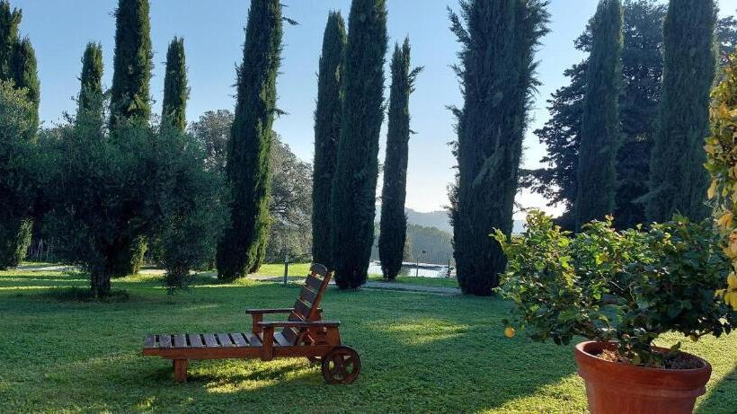 호텔 Agriturismo La Scarpaia