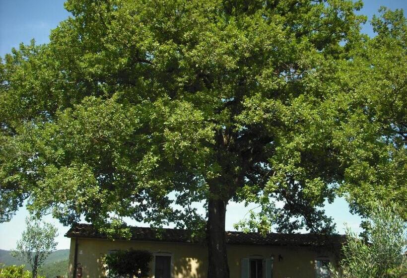 호텔 Agriturismo La Scarpaia