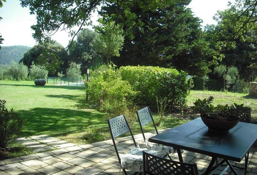 호텔 Agriturismo La Scarpaia