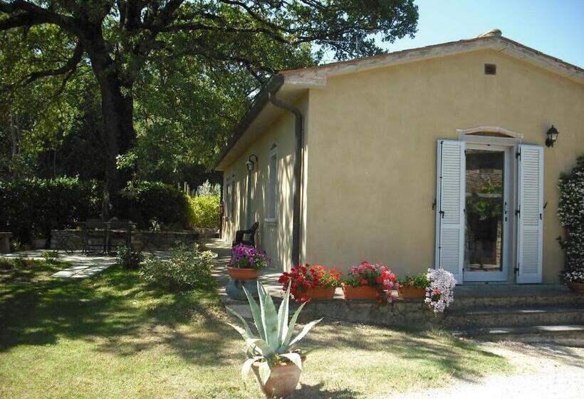 호텔 Agriturismo La Scarpaia