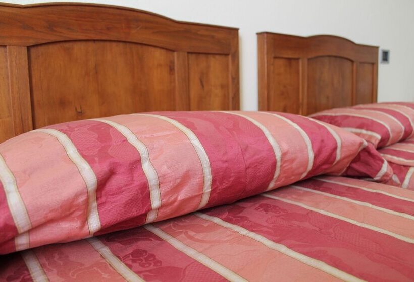 ホテル Agriturismo Le Clementine