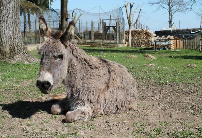ホテル Agriturismo Le Clementine