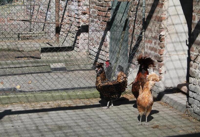 ホテル Agriturismo Le Clementine