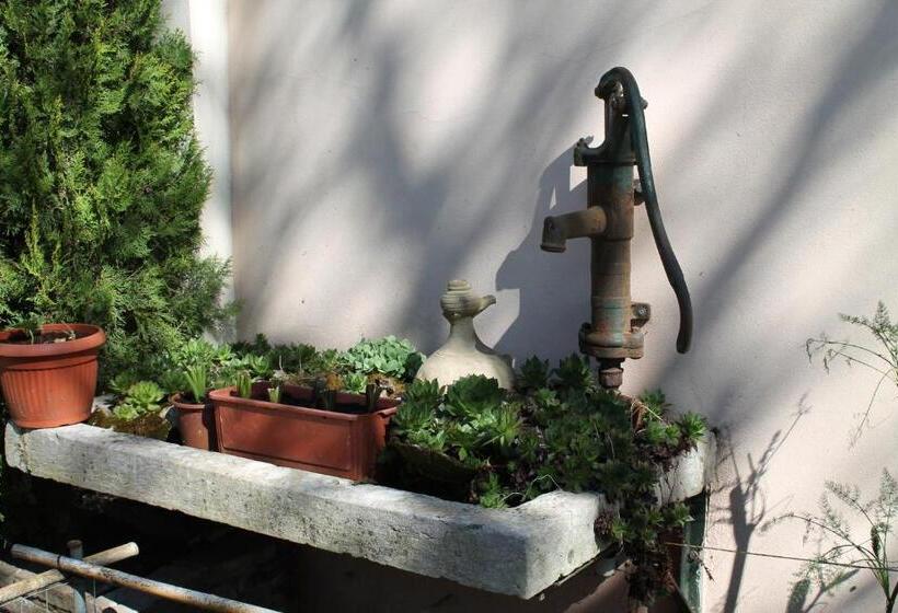 ホテル Agriturismo Le Clementine