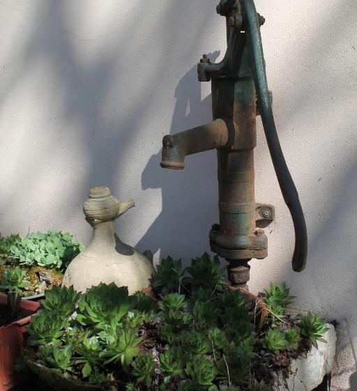 ホテル Agriturismo Le Clementine