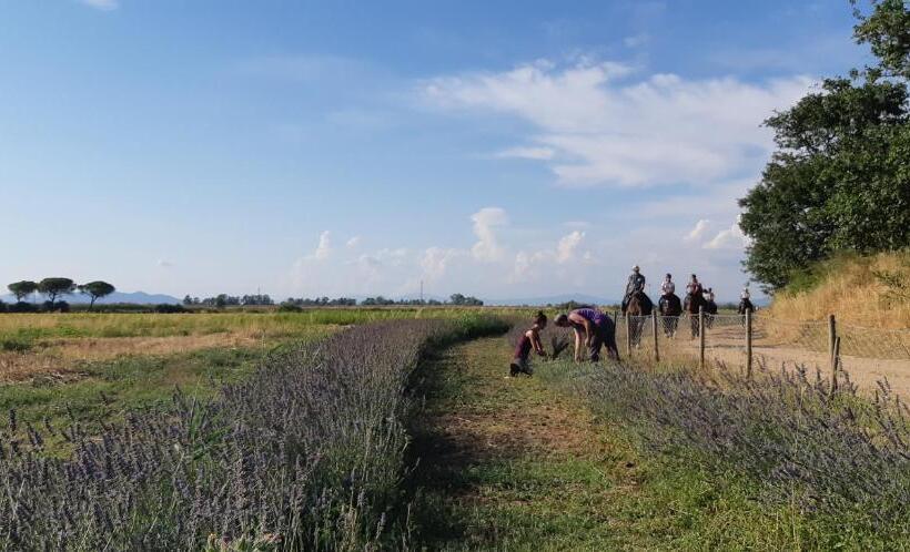 فندق Agriturismo Le Giunchiglie