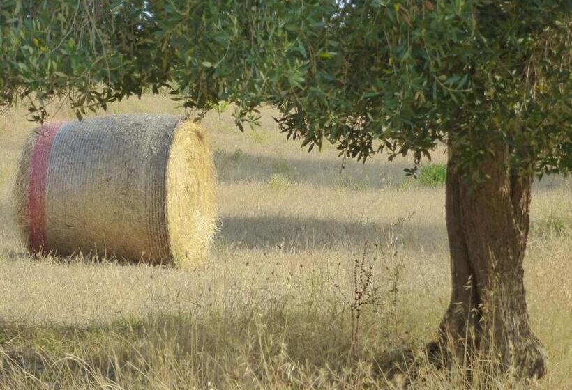 فندق Agriturismo Le Giunchiglie