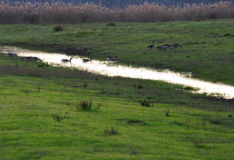 فندق Agriturismo Le Giunchiglie