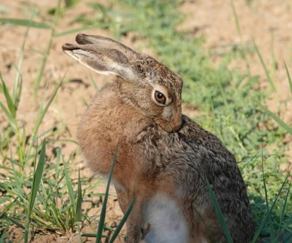 فندق Agriturismo Le Giunchiglie