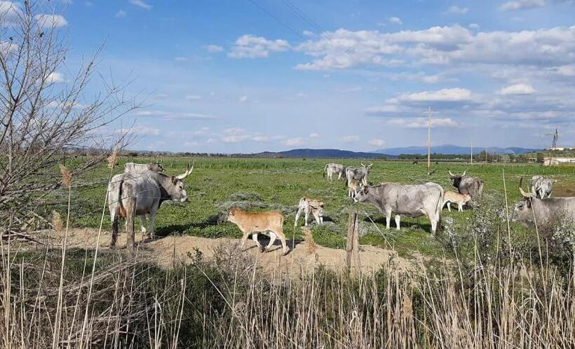 فندق Agriturismo Le Giunchiglie