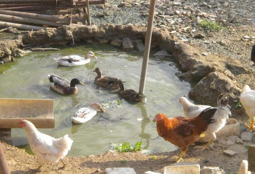 בית מלון כפרי Agriturismo Le Vergare