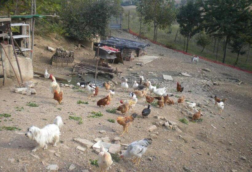 בית מלון כפרי Agriturismo Le Vergare