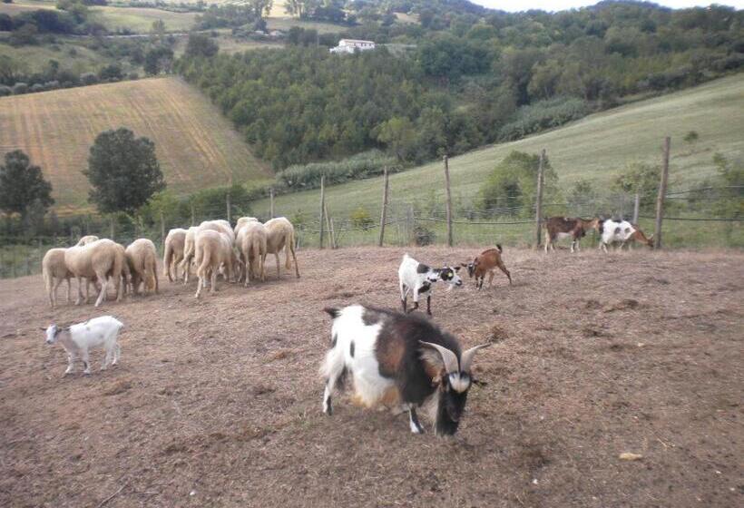 בית מלון כפרי Agriturismo Le Vergare