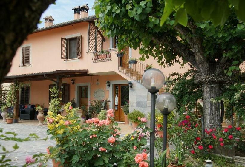 هتل Agriturismo L'ulivo In Fiore