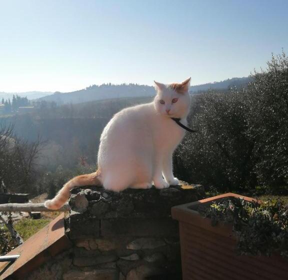 هتل Agriturismo Manetti