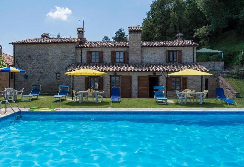 Отель Agriturismo Monte Acuto