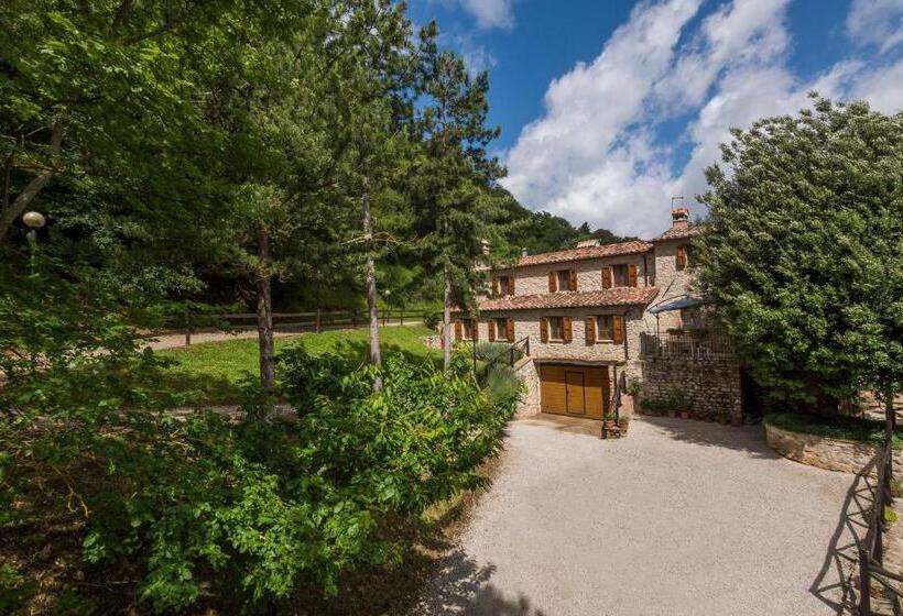 Отель Agriturismo Monte Acuto