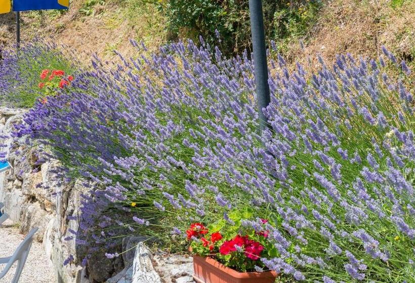 Отель Agriturismo Monte Acuto