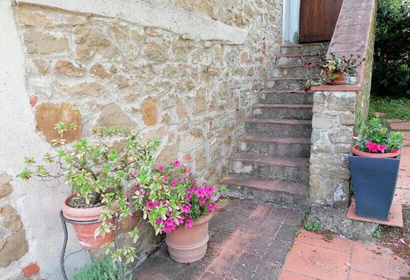 هتل Agriturismo Poggio All'olmo