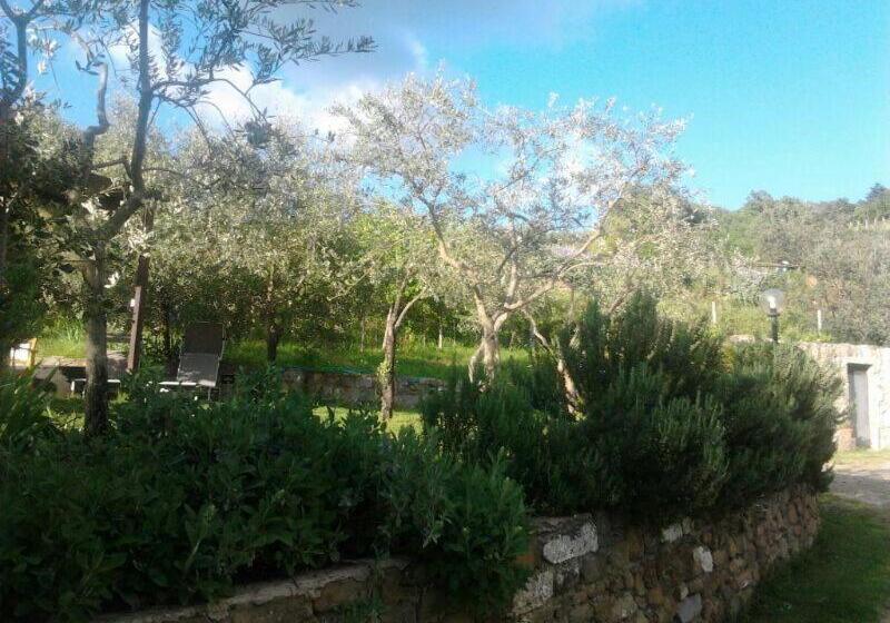 هتل Agriturismo Poggio All'olmo