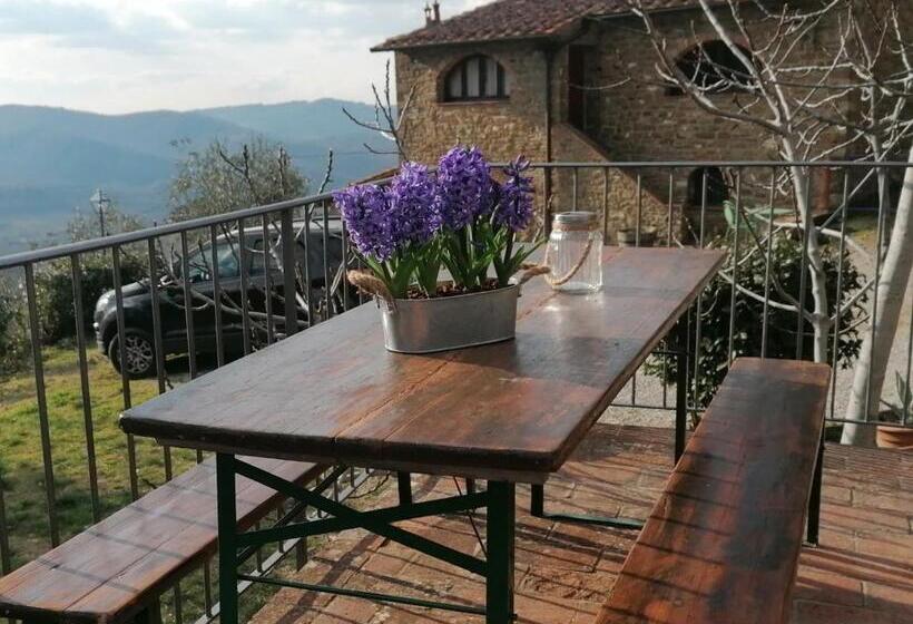 ホテル Agriturismo Poggio All'olmo