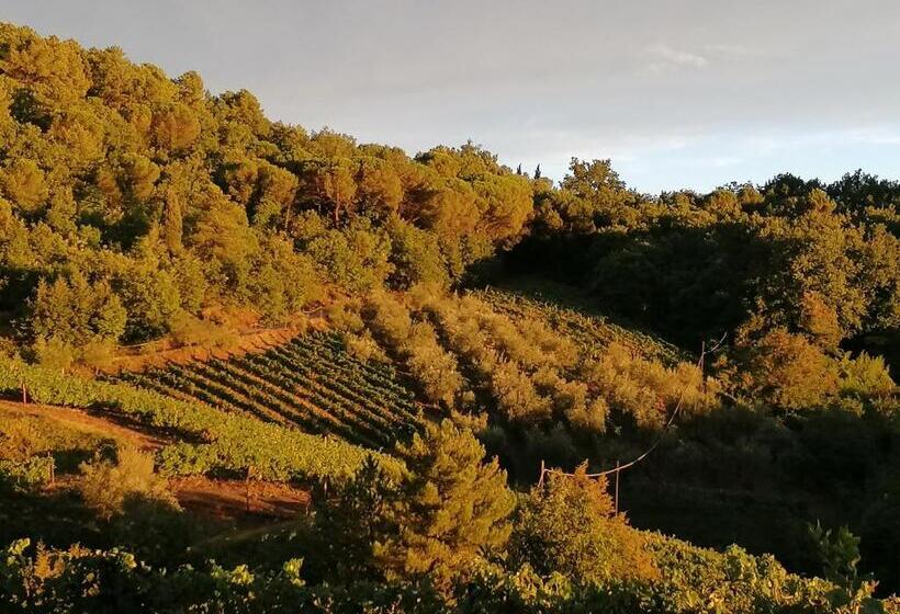 هتل Agriturismo Poggio All'olmo