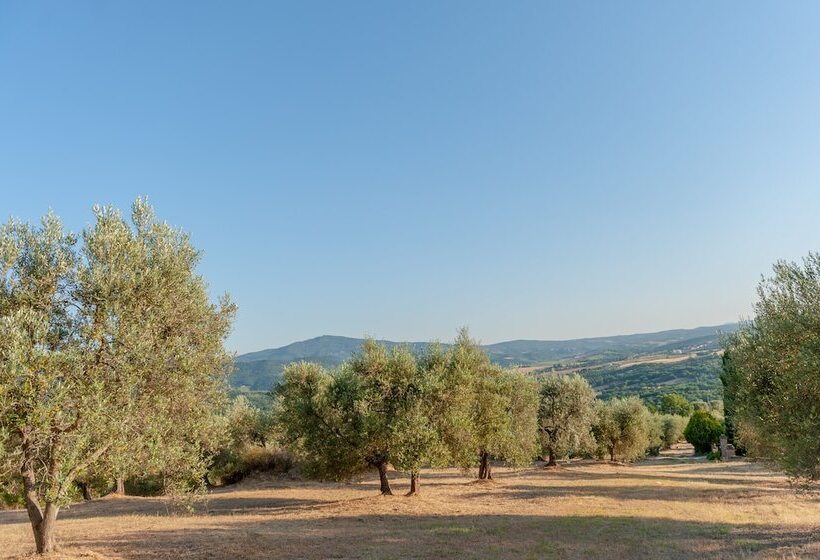 Hotel Agriturismo Poggio Del Pero