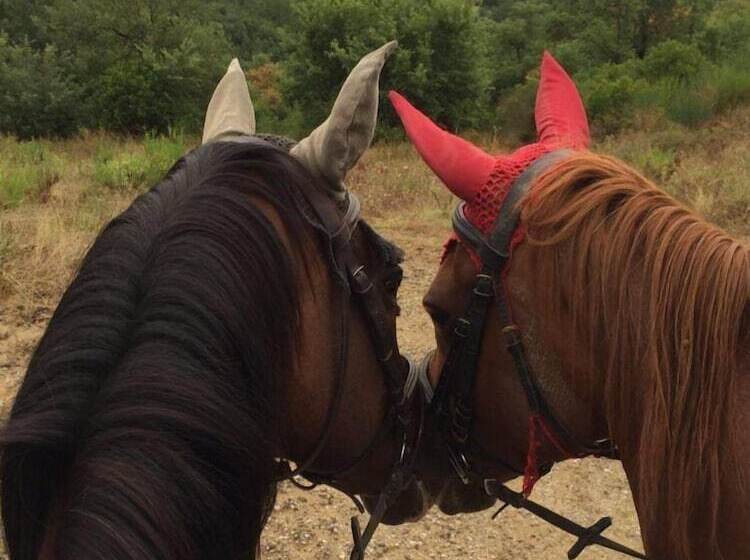 Hotel Agriturismo Poggio Del Pero