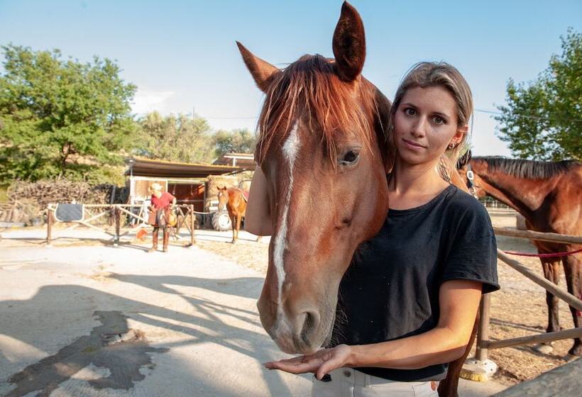 Hotel Agriturismo Poggio Del Pero