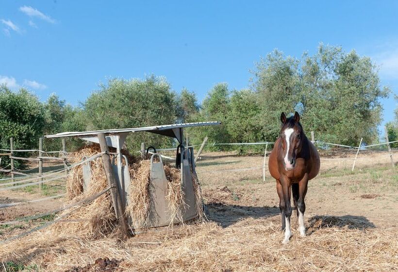 Hotel Agriturismo Poggio Del Pero