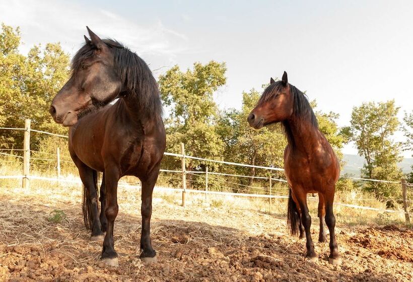 בית מלון כפרי Agriturismo Poggio Del Pero