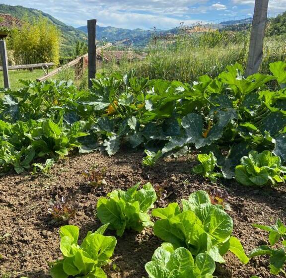 בית מלון כפרי Agriturismo Popolano Di Sotto