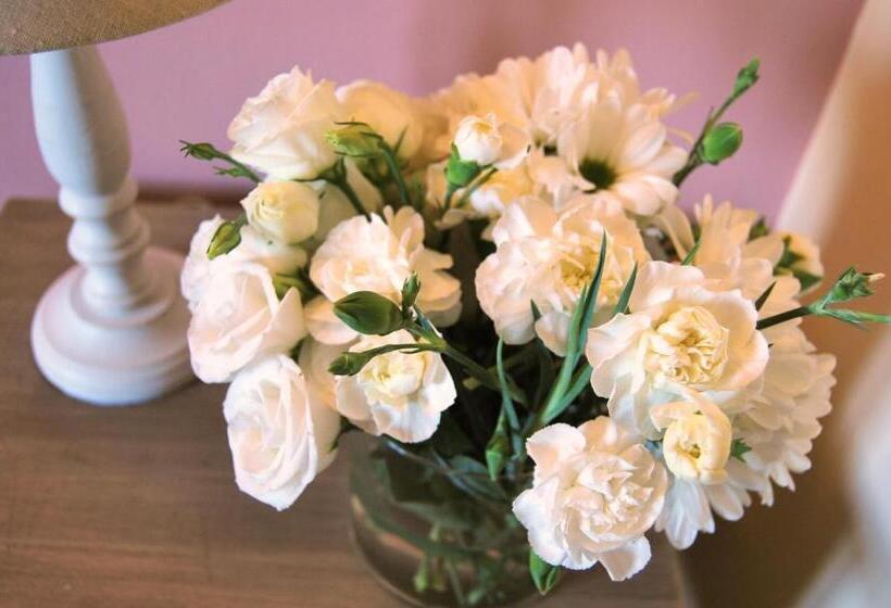 בית מלון כפרי Agriturismo Ripaiani