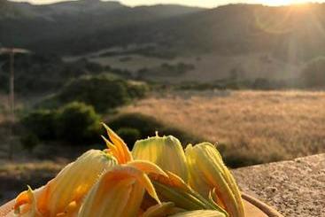 هتل Agriturismo Sa Tanca Noa