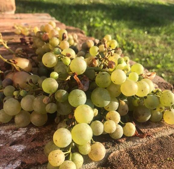 ホテル Agriturismo Terre Bianche