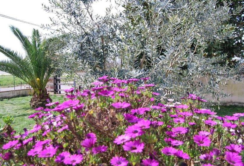 هتل Agriturismo Torre Cristina