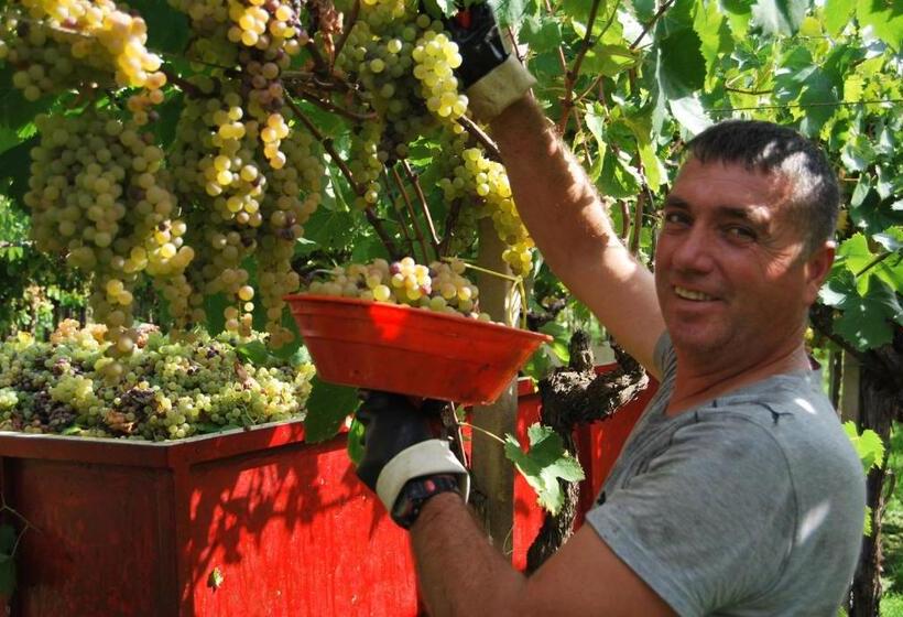 هتل Agriturismo Torre Cristina