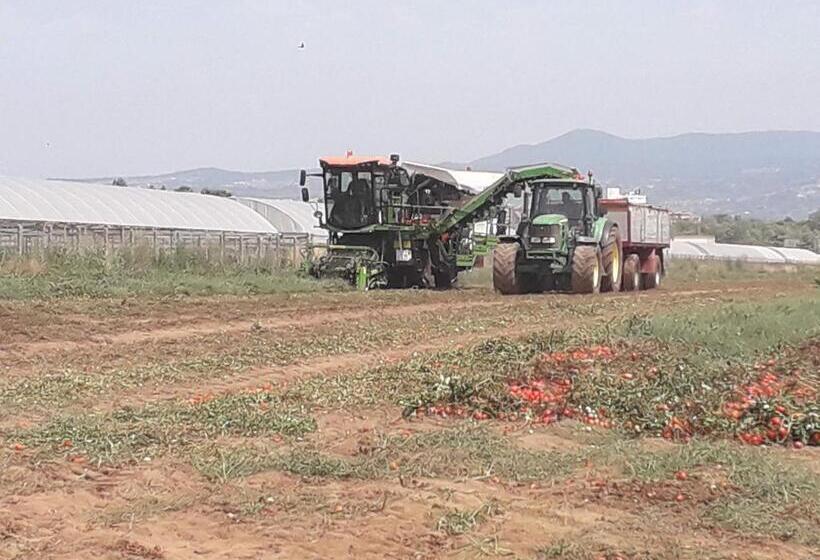 فندق Agriturismo Torre Cristina