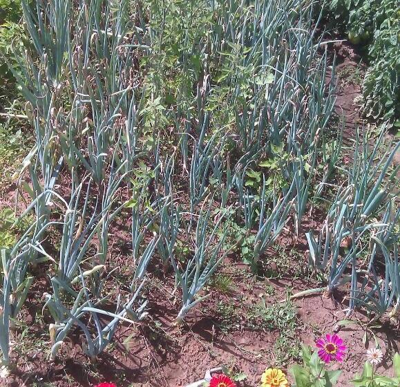 فندق Agriturismo Torre Cristina