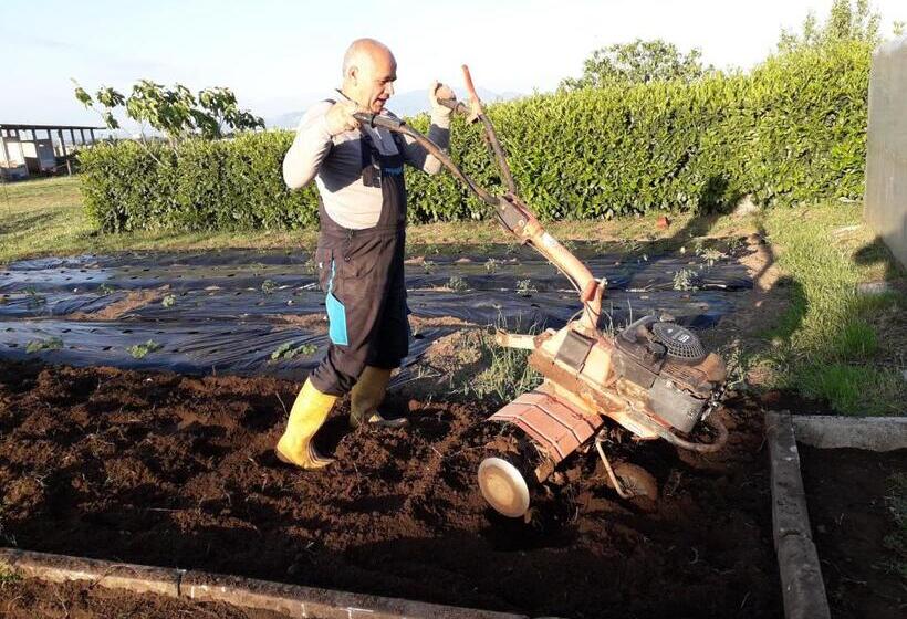 فندق Agriturismo Torre Cristina