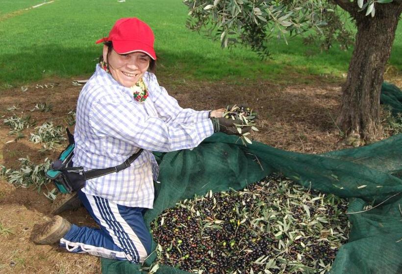 فندق Agriturismo Torre Cristina