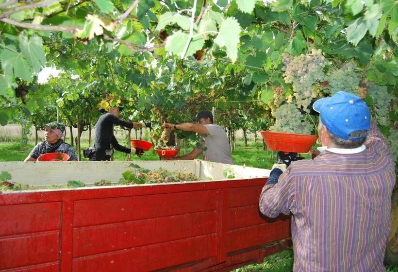 هتل Agriturismo Torre Cristina