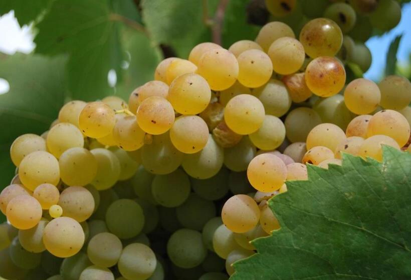 هتل Agriturismo Torre Cristina