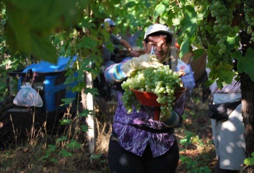 هتل Agriturismo Torre Cristina