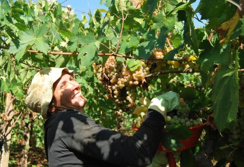 فندق Agriturismo Torre Cristina