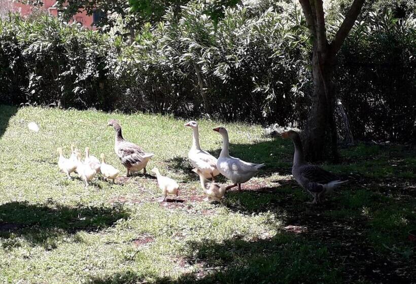 هتل Agriturismo Torre Cristina