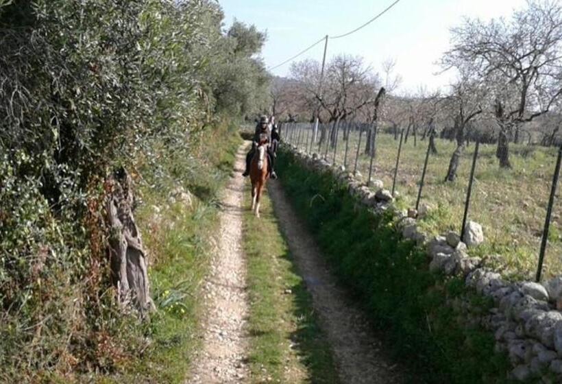 בית מלון כפרי Agriturismo Vita E Natura